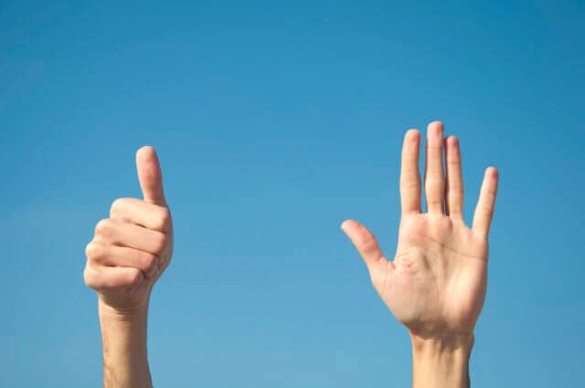 Your Guide Through Unemployment